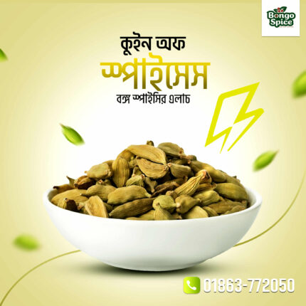 এলাচ/এলাচি (Cardamom)